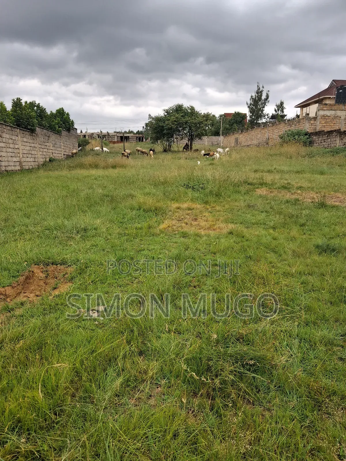 Membly Pavilion Court Well Drained Murrum Soil 1/4 Acre Ready Title