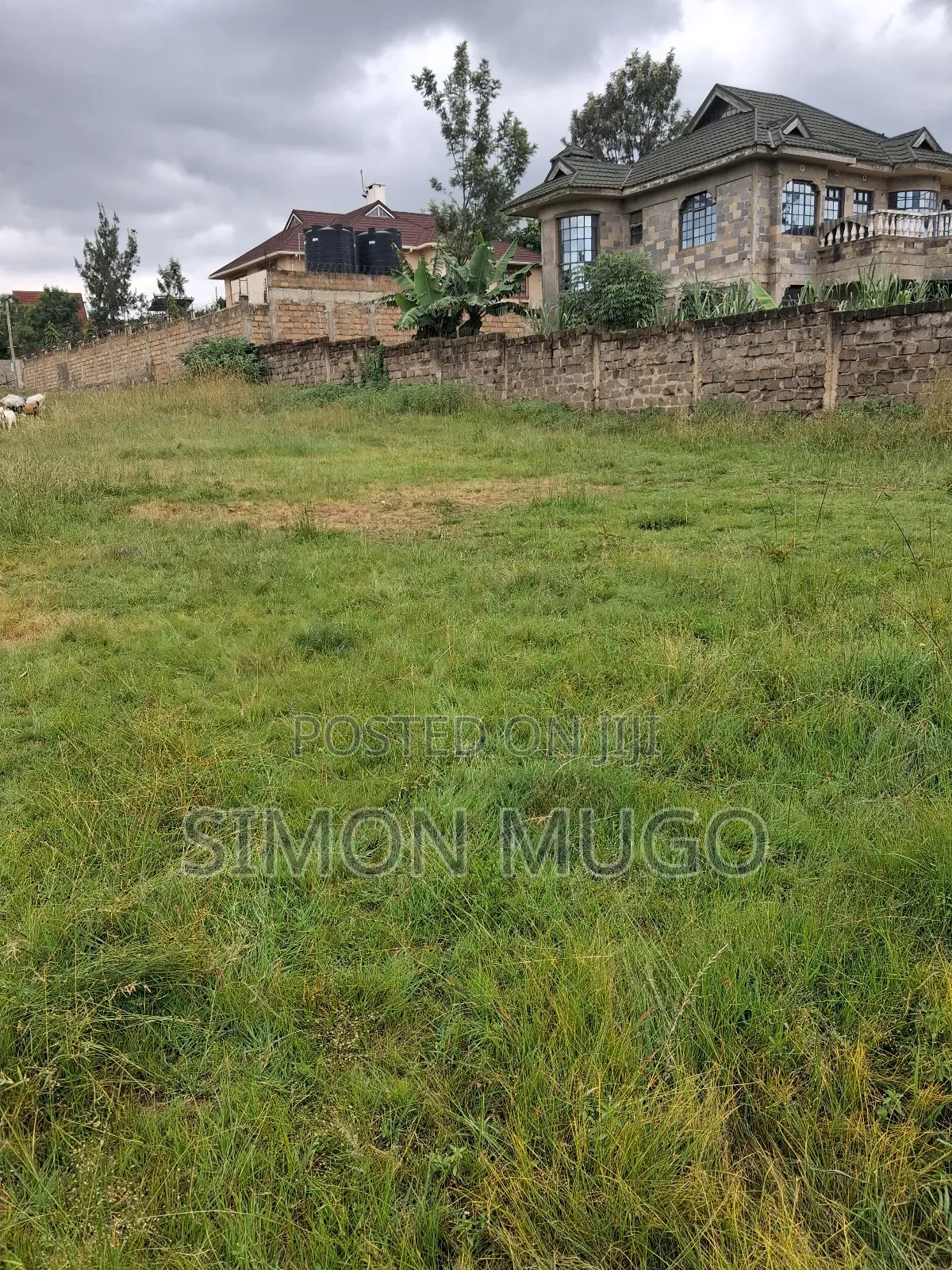 Membly Pavilion Court Well Drained Murrum Soil 1/4 Acre Ready Title