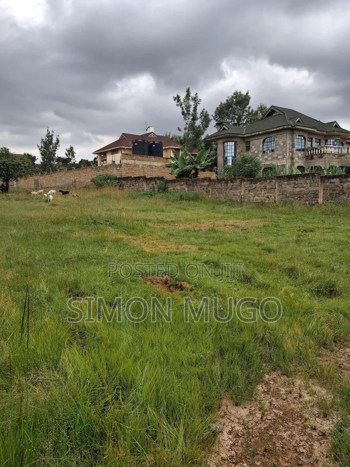Membly Pavilion Court Well Drained Murrum Soil 1/4 Acre Ready Title