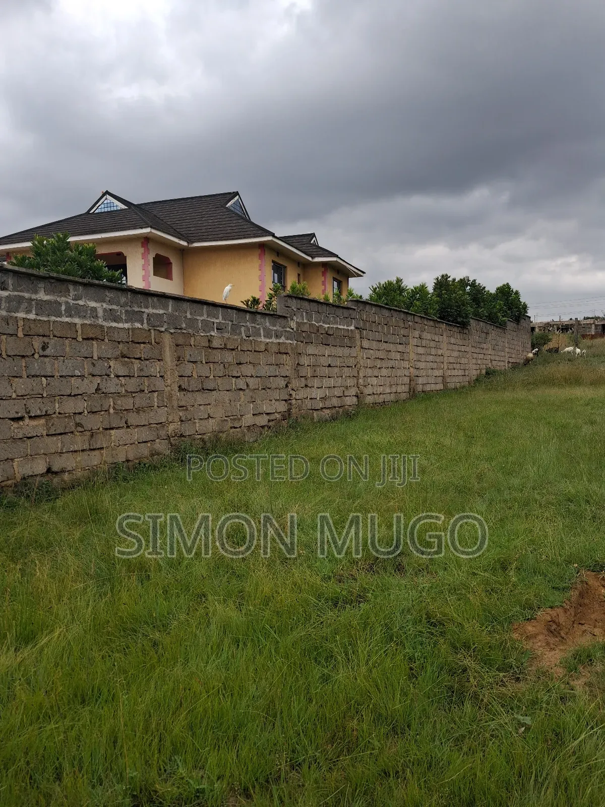 Membly Pavilion Court Well Drained Murrum Soil 1/4 Acre Ready Title
