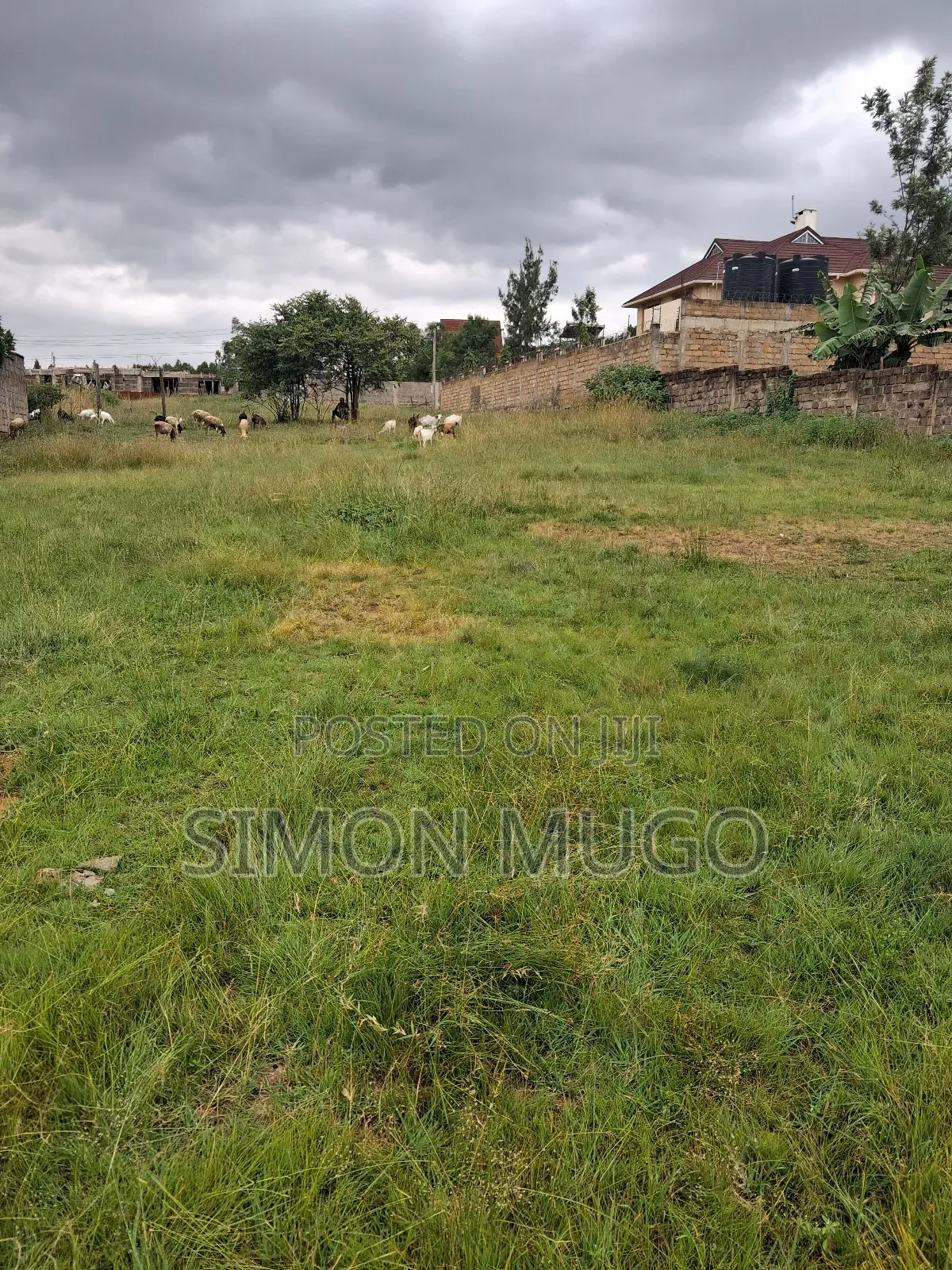 Membly Pavilion Court Well Drained Murrum Soil 1/4 Acre Ready Title