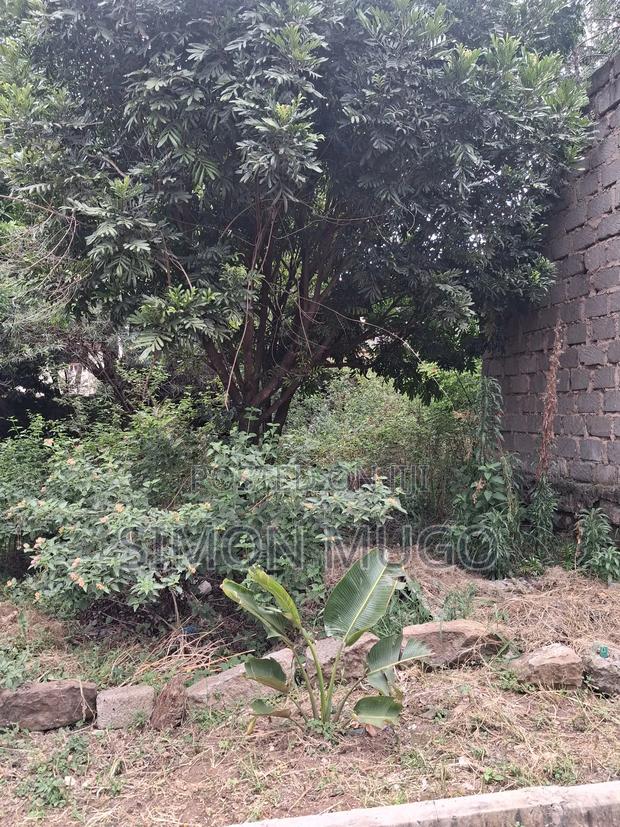 Membly Green Valley Court. Very Prime Secure 1/4 Acre - thumbnail 5