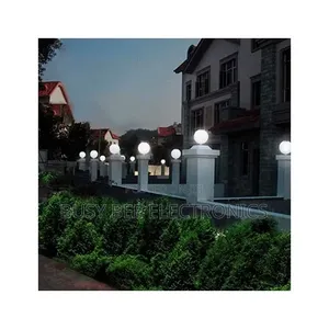 Neelux Dusk to Dawn Auto on/Off Solar Powered Ga