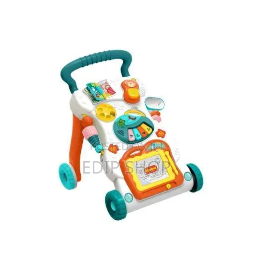 Music Baby Walker.
