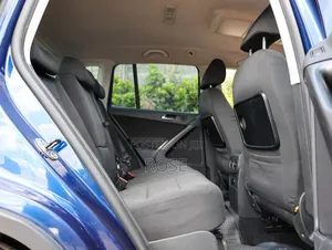 Volkswagen Tiguan 2009 Blue