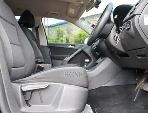 Volkswagen Tiguan 2009 Blue