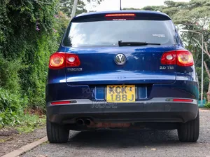 Volkswagen Tiguan 2009 Blue