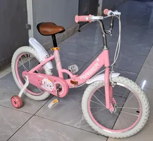 Foldable Size 18 Girls Bike