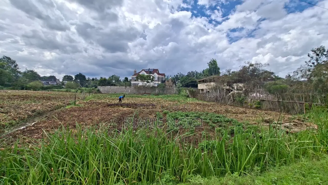 Prime 1/3 Acre Plot for Sale - Mushroom Estate, Kiambu