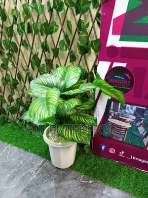 Artificial Home Decor Plants – 0.8m | Lifelike Low Maintenance
