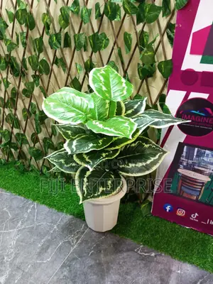 Artificial Home Decor Plants – 0.8m | Lifelike Low Maintenance