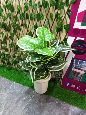Artificial Home Decor Potted Plants | 80cm