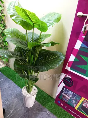 Premium Artificial Plants – Indoor Outdoor Low Maintenance