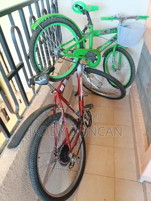Mountain Bikes