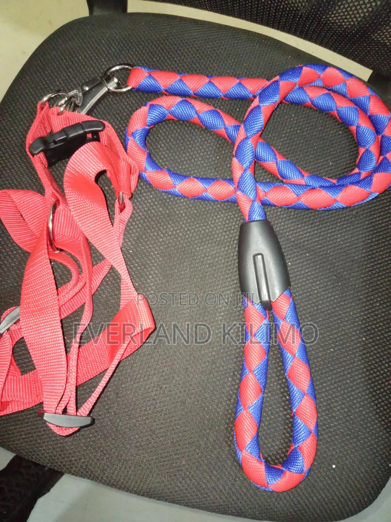 Wooven Dog Leash and Harness