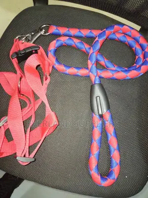 Wooven Dog Leash and Harness