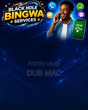 Black Hole Bingwa Services