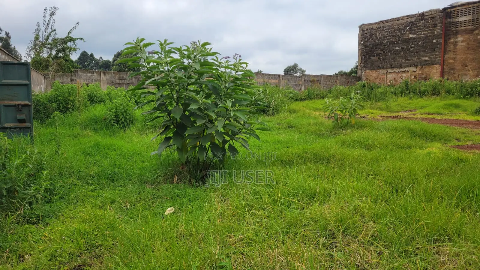 1/4 Acrea in Sigona Zambezi Nderi Kikuyu Kiambu