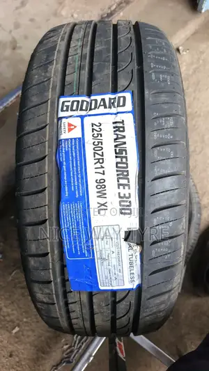 225/50r17 Goddard