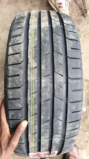 225/50r17 Goddard