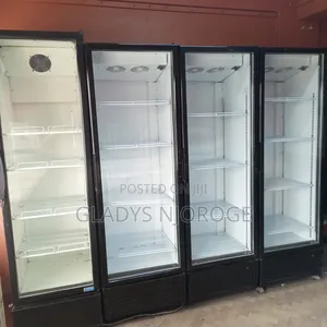 Show Case Chiller (Well Maintained) 650l