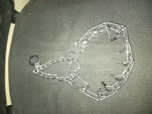 Training Prong Collar