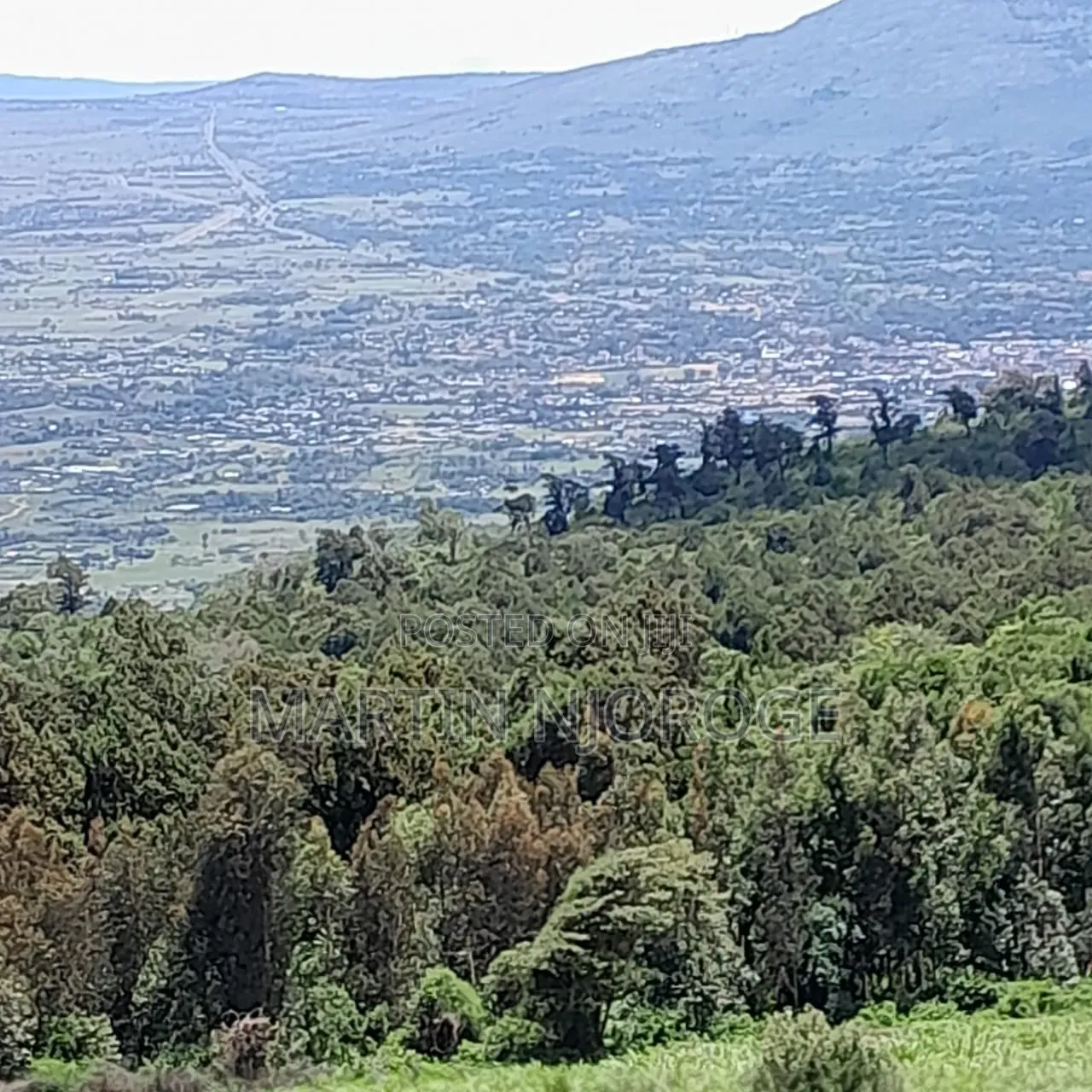 4 Acres Gitithia