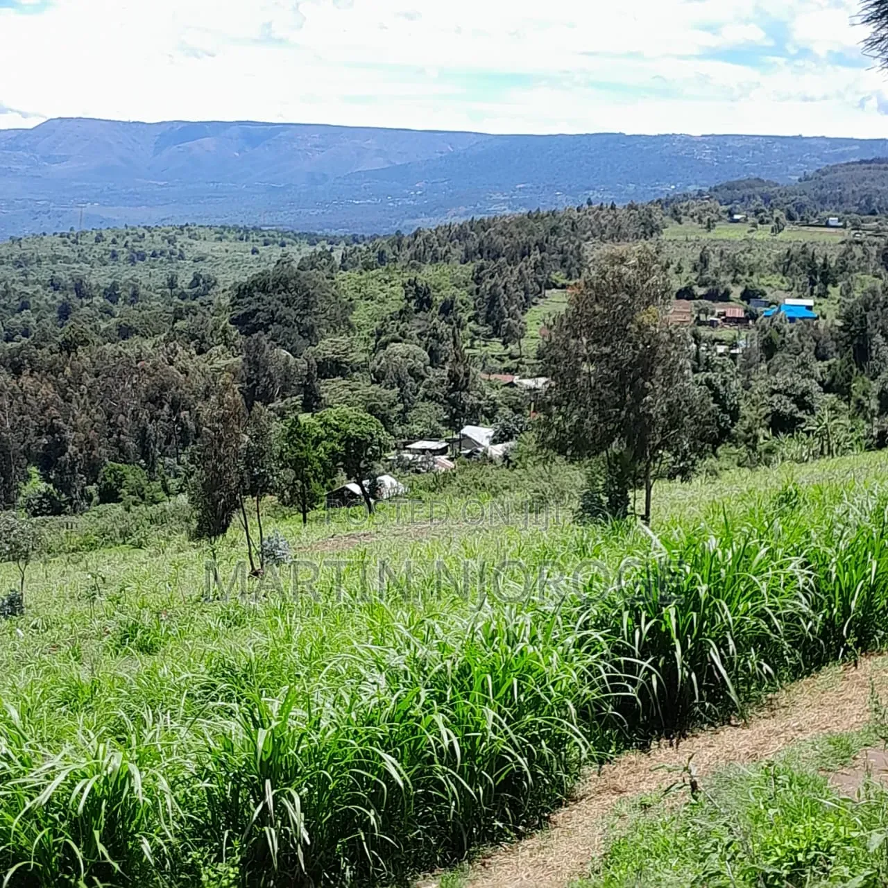 4 Acres Gitithia