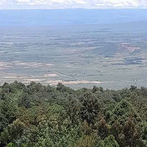 4 Acres Gitithia