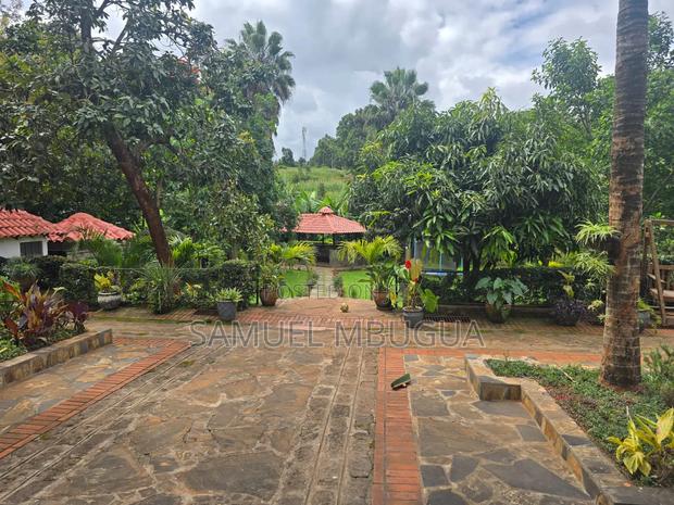 5bdrm House in Karen for rent - thumbnail 3
