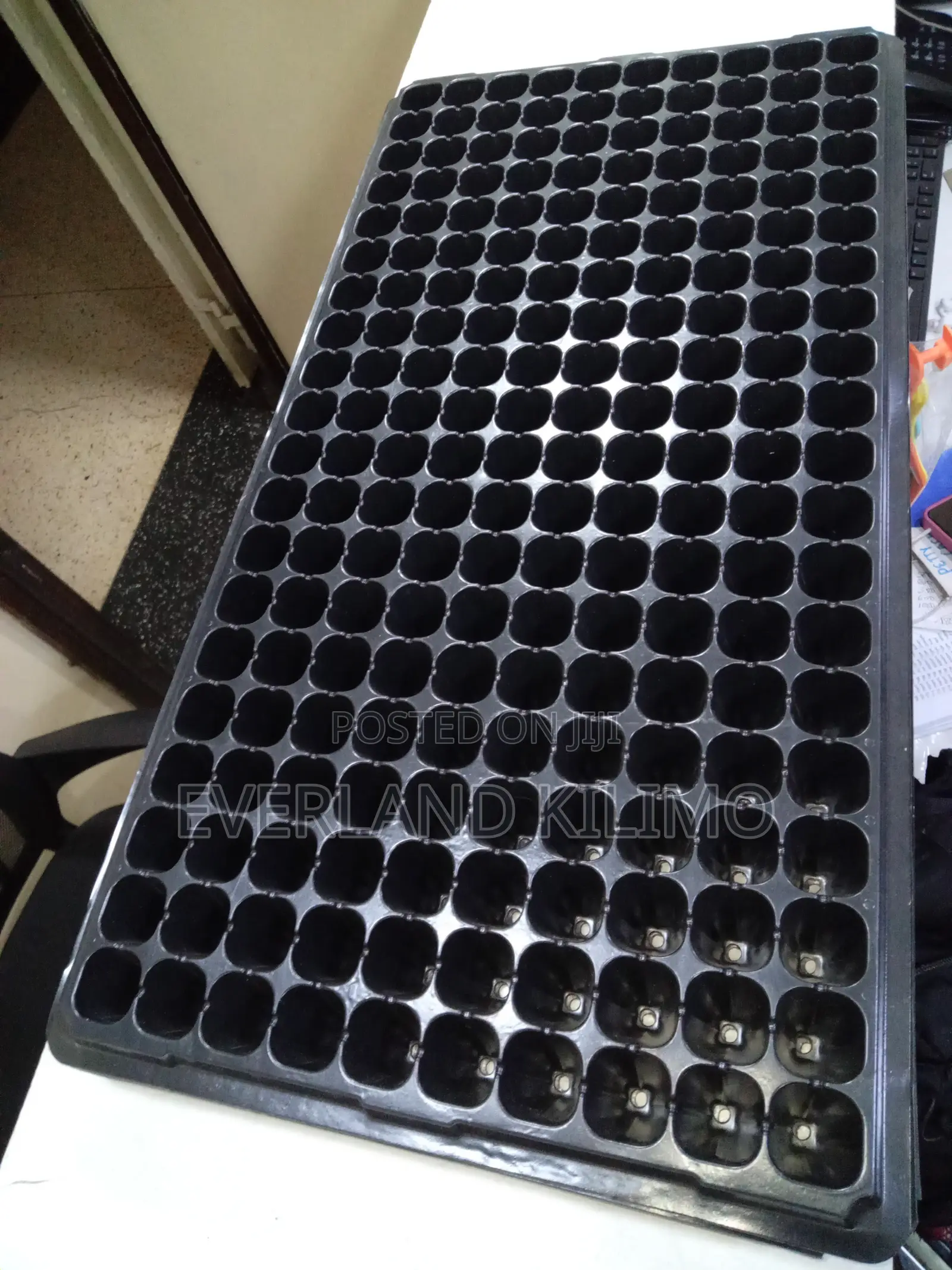 Black Seedlings Trays