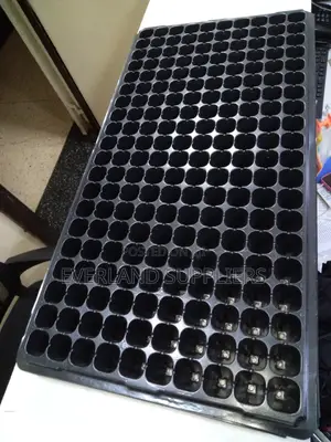Black Seedlings Trays