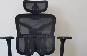 Office Chairs; Orthopedic Office Desk Chairs For Quality Work