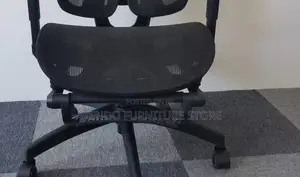 Office Chairs; Orthopedic Office Desk Chairs For Quality Work