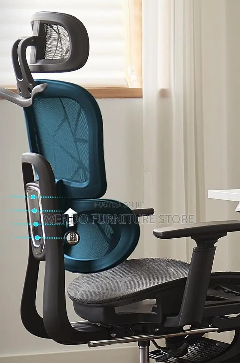 Office Chairs; Orthopedic Office Desk Chairs For Quality Work