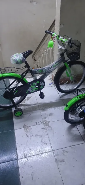 Endesha Bicycles Size 20