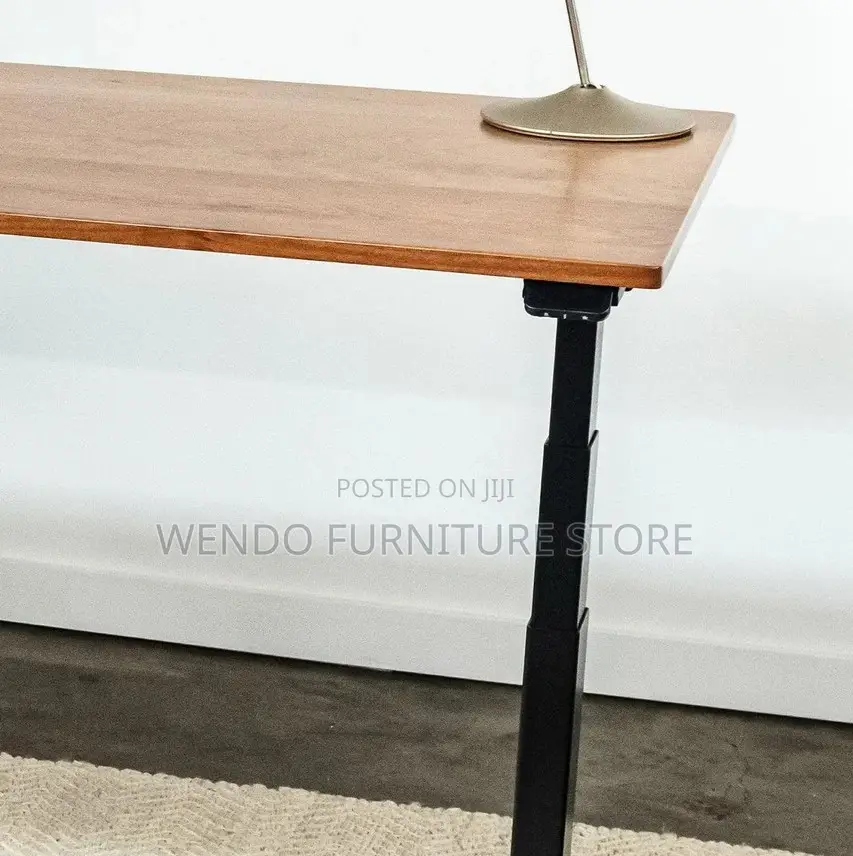 Office Desk; 1.6 Meters Electric Adjustable Tables In Ergonomic Design