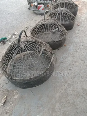Chicken Cage