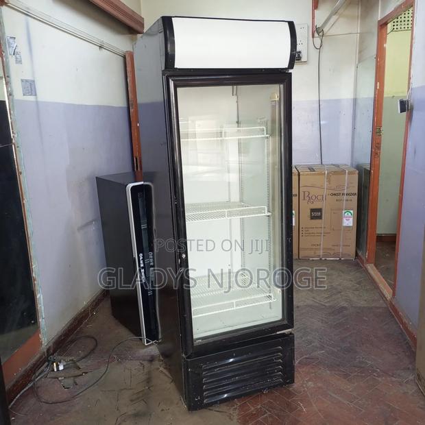 450l Chiller ( With Canopy) Black White