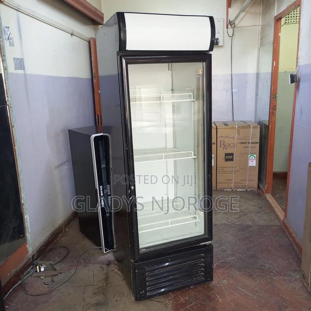 450l Chiller ( With Canopy) Black White - thumbnail 2