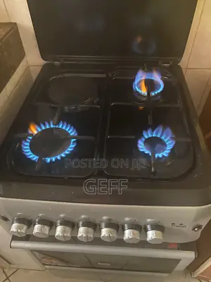 Mika Cooker Self Igniting