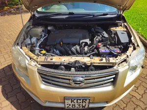 Toyota Axio 2011 Beige