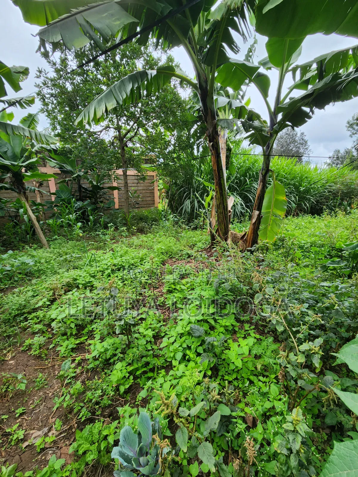 Prime 1⁄2acre Residential Ngong -46