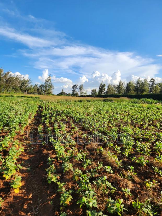 Prime 3 Acres on Sale Ngong-Kibiko