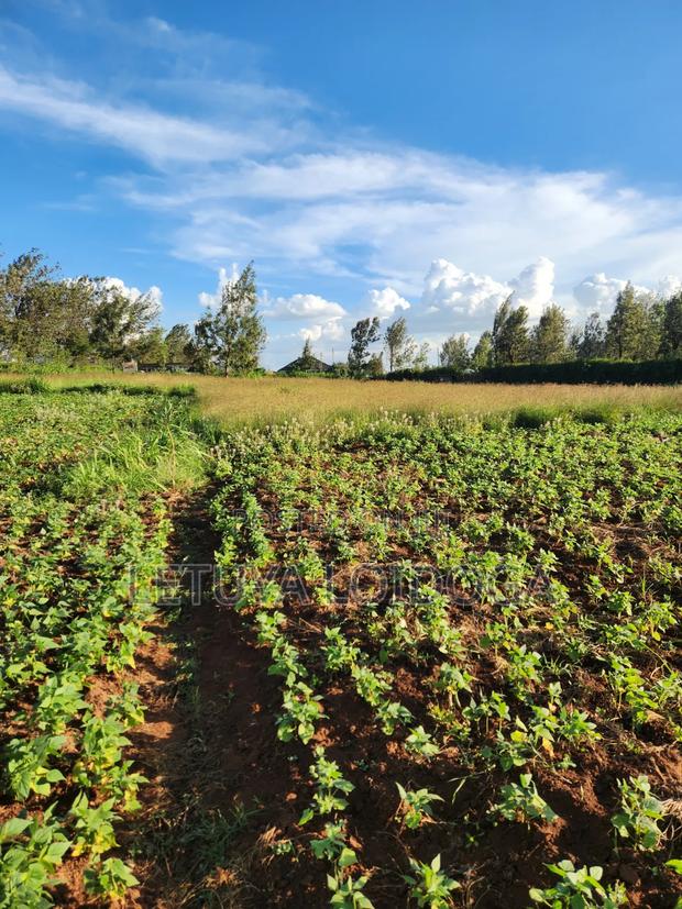 Prime 3 Acres on Sale Ngong-Kibiko - thumbnail 2