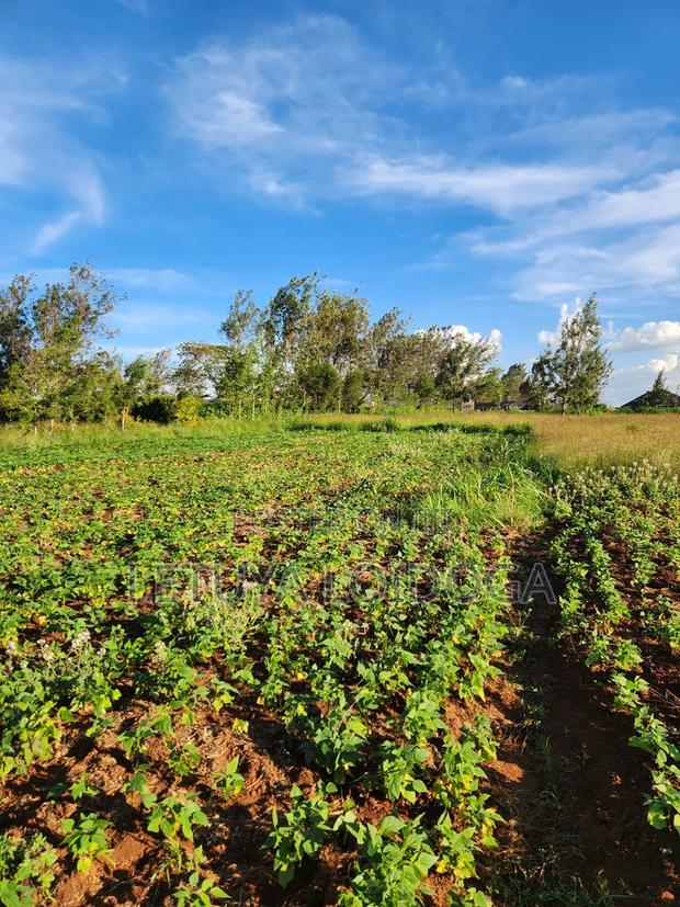 Prime 3 Acres on Sale Ngong-Kibiko - thumbnail 3