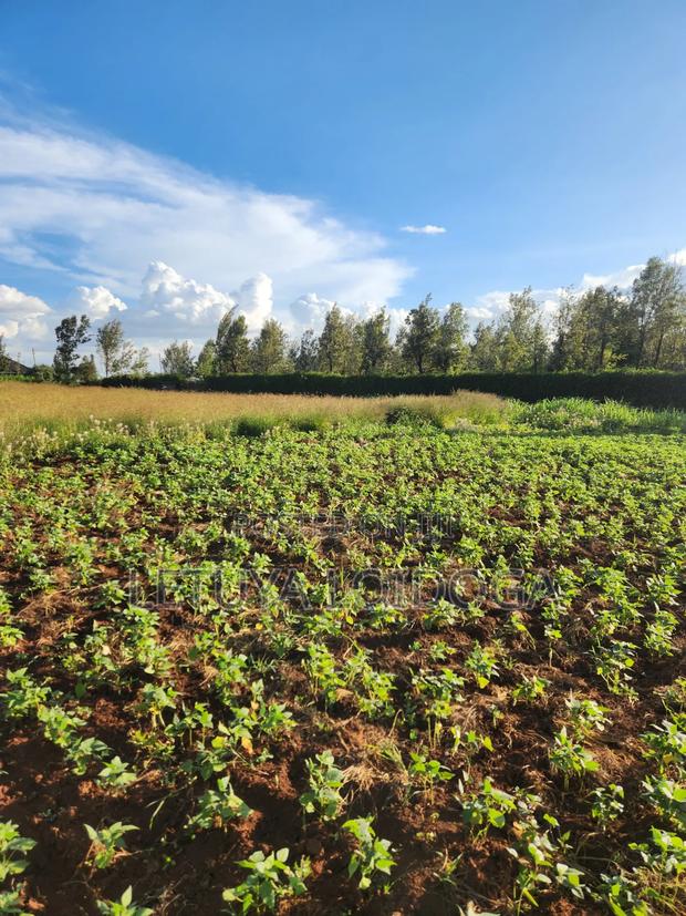 Prime 3 Acres on Sale Ngong-Kibiko - thumbnail 4