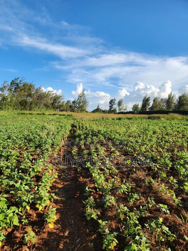 Prime 3 Acres on Sale Ngong-Kibiko - thumbnail 5