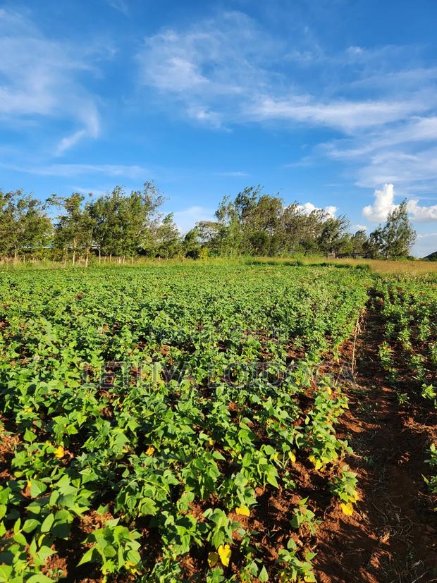 Prime 3 Acres on Sale Ngong-Kibiko - thumbnail 8