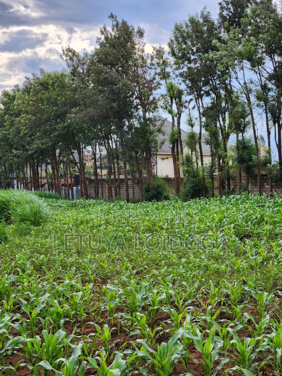 Beautiful 2 Acres Ngong-Kibiko(Chavara)